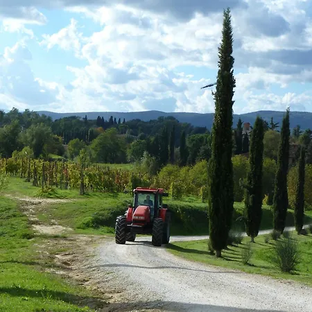 La Grotta Di Montecchino