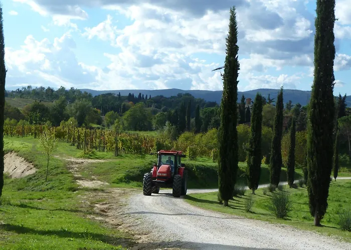 蒙特奇诺洞穴农庄
